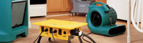 Water Damage & Mold Remediation Equipment